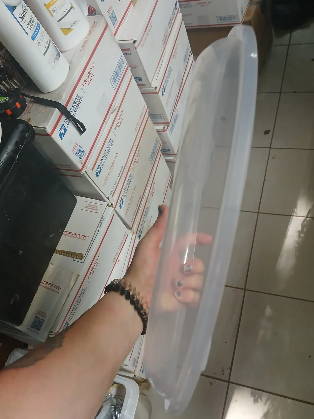 translucent 14-inch (35.5 cm) round plastic plate or tray cover. X50